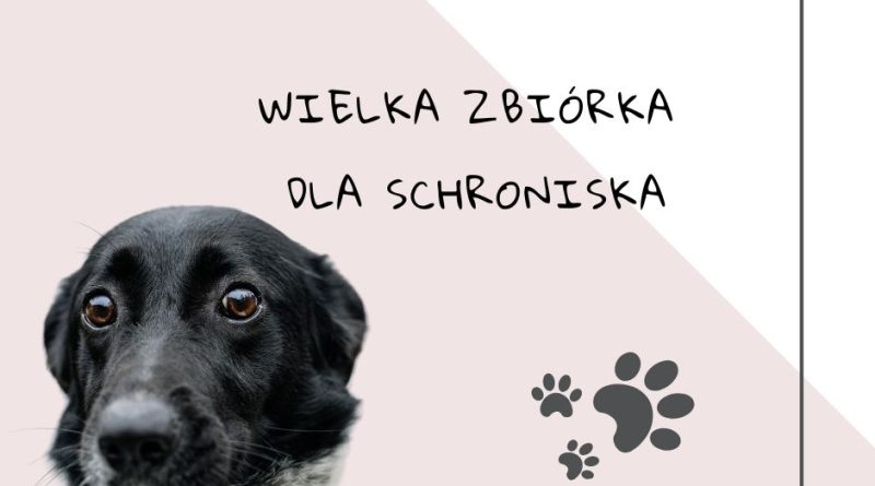 Wielka zbiórka dla schroniska!