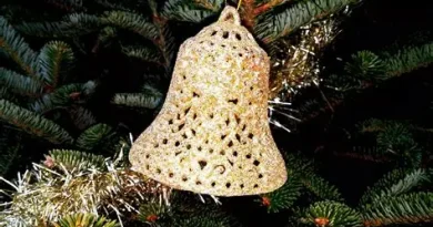 Świetlicowy Konkurs – Ekologiczna Ozdoba Bożonarodzeniowa