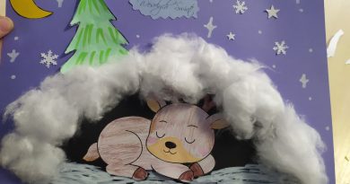 Praca plastyczna w świetlicy – norki dla zwierzaków