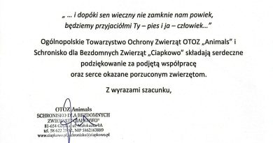 Podziękowanie dla Szkoły Podstawowej nr 26 w Gdyni