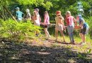 Zajęcia terenowe w ramach programu edukacji leśnej w 2b