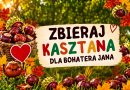 Zbieraj kasztana dla Bohatera Jana
